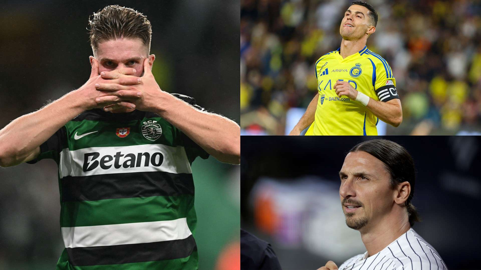 这些问题不 这些问题不